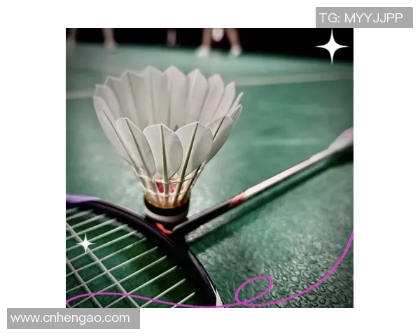 羽毛球装备选购指南：必备训练器材推荐与使用技巧分享