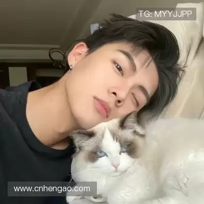 何鹰辉